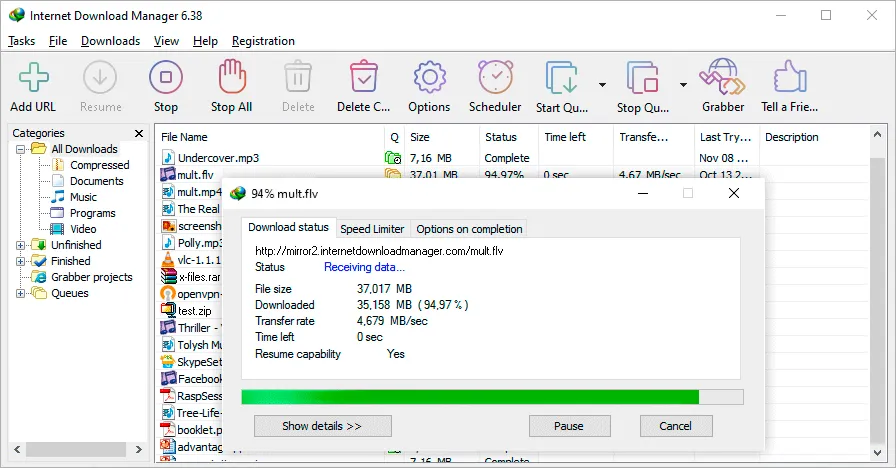 idm截图.webp